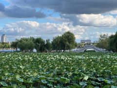 -长春市南湖公园