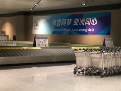 -哈尔滨太平国际机场-T2航站楼
