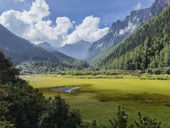 -稻城亚丁景区-冲古草甸