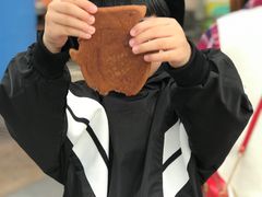 -珠海横琴长隆《卡卡虎奇遇记》