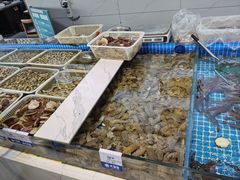 -大锅强·蒸海鲜青岛菜(吾悦广场店)