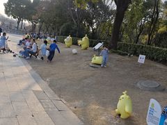 -南翔镇银翔湖公园