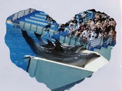 -长沙海底世界