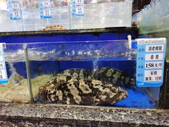 -船家渔(徐州北路店)