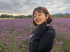 -北京东方普罗旺斯薰衣草庄园