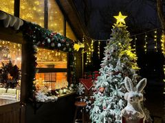 -长白岛森林公园