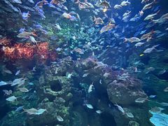 -成都浩海立方海洋公园
