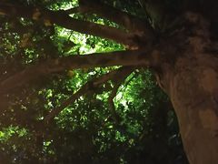 -中国海洋大学（崂山校区）-图书馆