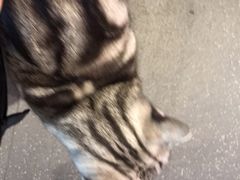 -NRG 健身私教CLUB(云山路店)