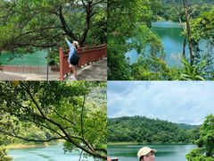 -佛山市三水区大南山森林公园
