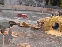 -广东茂名森林公园