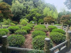 -十八棵（老龙井）御茶园(老龙井店)