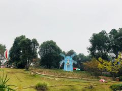 -铁山坪森林公园