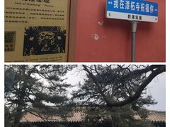 -潭柘寺景区