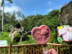 -广州长隆野生动物世界