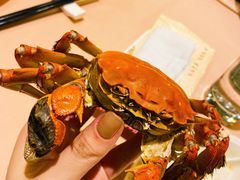 -王宝和酒家(黄浦店)