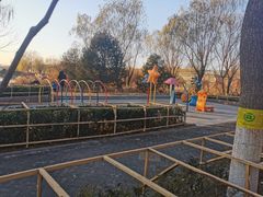 -大兴滨河森林公园