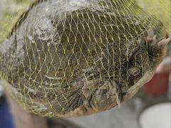 -粮心小农·大头虾亲子生态园(长发店)