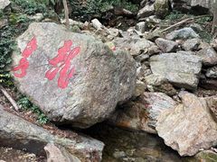 -北仑森林植物园