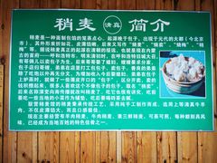 -联营烧麦(乌兰察布店)