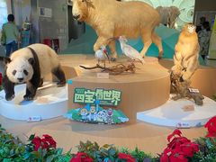 -陕西自然博物馆