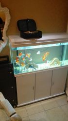 android_upload_pic-构想时尚发型会所