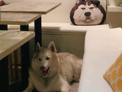 -小时光咖啡馆(北锣鼓巷店)