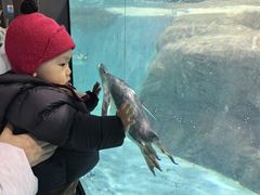 -大连圣亚海洋世界