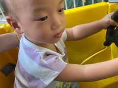 -杭州少年儿童公园