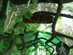 -灵栖洞天