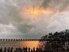 -宝安西湾红树林湿地公园