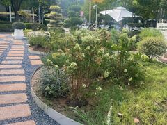 -翠贝卡&Mama Kelly Brunch Coffee(河西店)