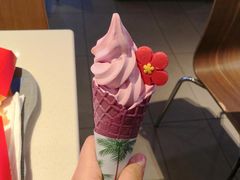-麦当劳(龙之梦购物中心店)