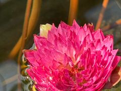 -国家植物园南园