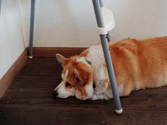 -肥朵食堂(带梦胡同店)