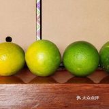 原产地果品推荐-云南冰糖橙