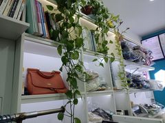 -UCC国际洗衣(长宁路精选店)