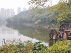 -重庆彩云湖湿地公园