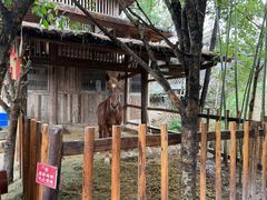 -驿舍·民國老营房院子私房菜(科学会堂店)