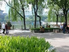 android_upload_pic-文瀛公园