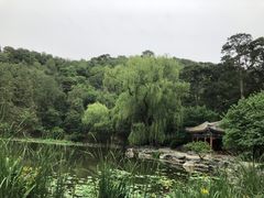 -香山公园