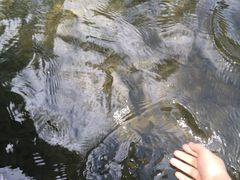 -楠溪江风景名胜区