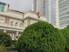 -中国福利会少年宫
