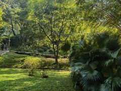 -晓港公园