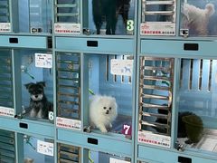 -爱侣宠医·鹦鹉专科·小型哺乳类·异宠专科(灵石路店)