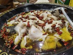 -金三可市井水煮鱼(金碧园店)