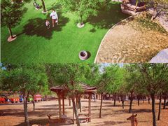 -北京鹿世界主题园