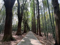 -同里国家湿地公园