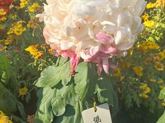 -北京植物园南门售票处