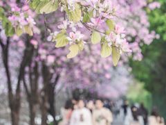 -广东财经大学(广州校区)